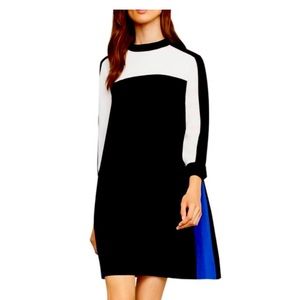 Bcbgmaxazria Color Block Shift Dress